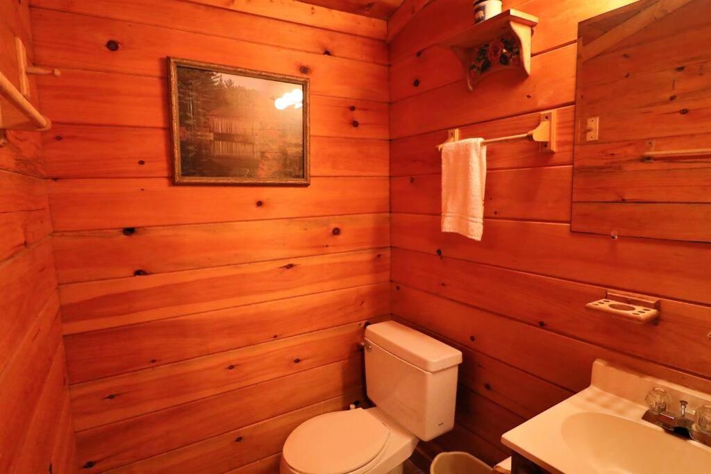 Mountain Cabin 2B Jacuzzi #10 ヘレン エクステリア 写真