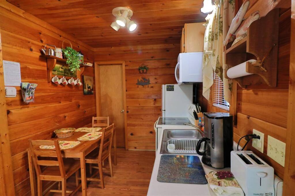Mountain Cabin 2B Jacuzzi #10 ヘレン エクステリア 写真